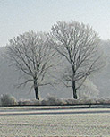 Winterdepression