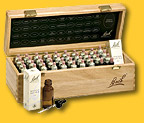 BACHBLUETEN 20 ml Set 