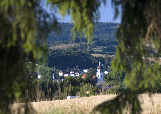 Blick auf Bad Steben